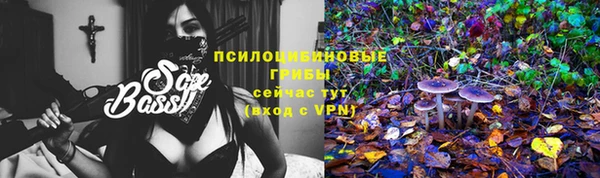 таблы Алзамай
